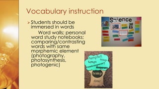 Vocabulary Instruction | PDF
