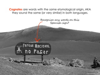 Cognates are words with the same etymological origin, AKA
they sound the same (or very similar) in both languages.
Recognize any words on this
Spanish sign?
Image © Doblonaut | Flickr
 