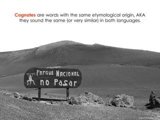 Cognates are words with the same etymological origin, AKA
they sound the same (or very similar) in both languages.
Image ©...