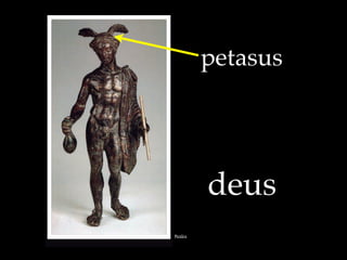 deus
Pict!ra
petasus
 
