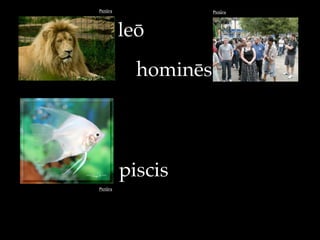 Pictūra Pictūra
Pictūra
hominēs
piscis
leō
 