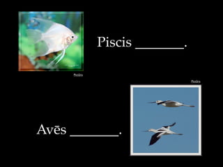 Pict!ra
Piscis _______.
Pict!ra
Av#s _______.
 
