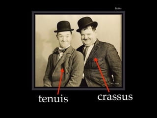 Pict!ra
tenuis crassus
 