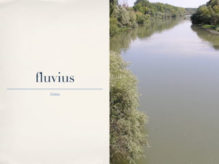 fluvius
  Pictūra
 
