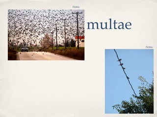 Pictūra




          multae
                   Pictūra
 