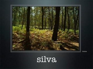 Pictūra
silva
 