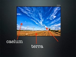 Pictūra
caelum
terra
 