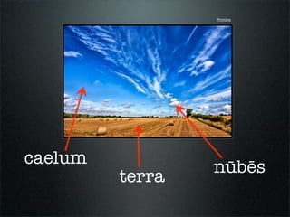 Pictūra
caelum
terra
nūbēs
 