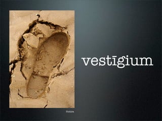 Pictūra
vestīgium
 