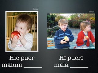 Pictūra
Hic puer
mālum ______
Hī puerī
māla ______
Pictūra
 