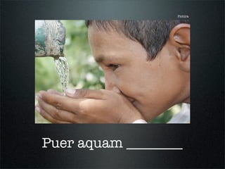 Pictūra
Puer aquam ________
 