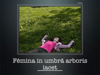 Pictūra
Fēmina in umbrā arboris
________iacet
 