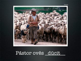 Pictūra
Pāstor ovēs ________dūcit
 