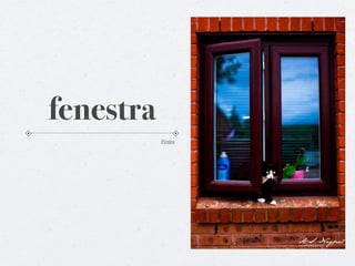 fenestra
           Pictūra
 