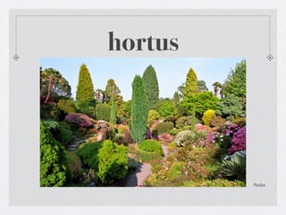 hortus




         Pictūra
 