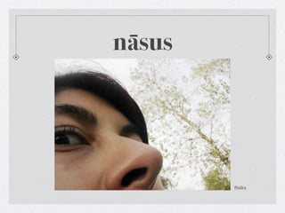 nāsus




        Pictūra
 