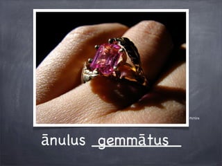 Pictūra
ānulus _________gemmātus
 