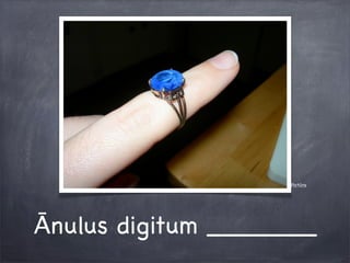 Pictūra
Ānulus digitum _______
 