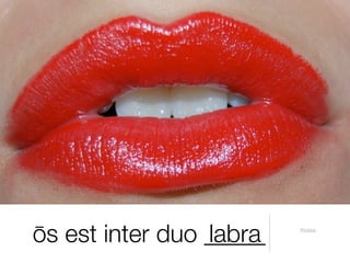 ōs est inter duo _____
                 labra   Pictūra
 