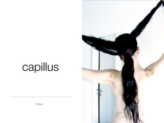 capillus

  Pictūra
 