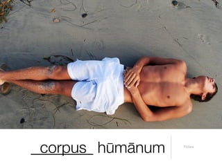 ________ hūmānum
 corpus            Pictūra
 