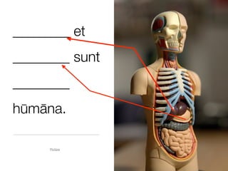 ________ et
________ sunt
________
hūmāna.

     Pictūra
 