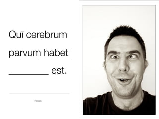 Quī cerebrum
parvum habet
________ est.

     Pictūra
 