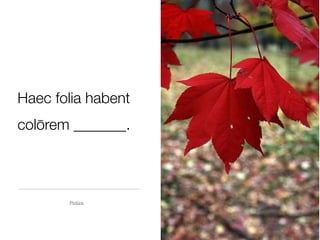 Haec folia habent
colōrem _______.



       Pictūra
 