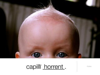 capillī _______.
        horrent    Pictūra
 