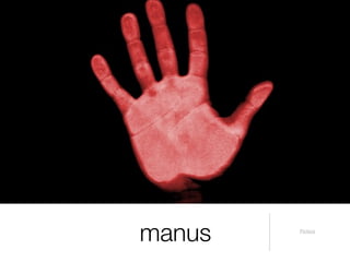 manus   Pictūra
 