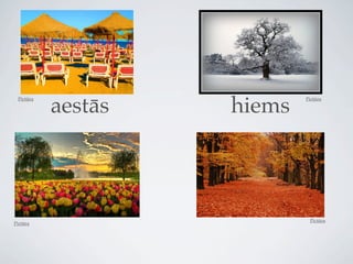 aestās   hiems
 Pictūra                    Pictūra




                             Pictūra
Pictūra
 