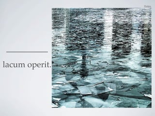 Pictūra




__________
lacum operit.
 