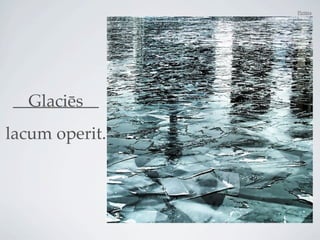Pictūra




__________
  Glaciēs
lacum operit.
 