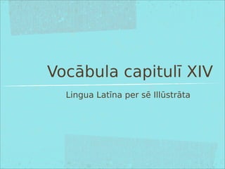 Vocābula capitulī XIV
Lingua Latīna per sē Illūstrāta
 