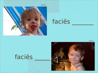 Pictūra
Pictūra
faciēs _______
faciēs _____
 