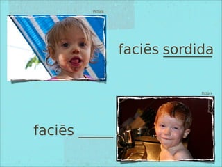 Pictūra
Pictūra
faciēs _______
faciēs _____
sordida
 