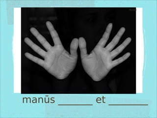 manūs _______ et ________
Pictūra
 