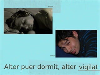 Pictūra
Pictūra
Alter puer dormit, alter _______vigilat
 