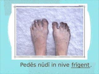 Pedēs nūdī in nive _______.
Pictūra
frīgent
 