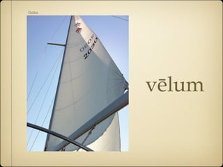 Velim Examples Vocabula cap. xvi | KEY