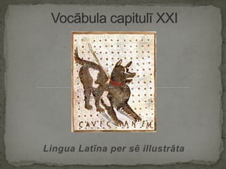 Lingua Latīna per sē illustrāta
 