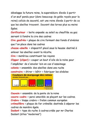 développe la future reine, la supersédure élevée à partir
d'un œuf pondu pour (donc beaucoup de gelée royale pour la
reine) cellule de sauveté, est une reine élevée à partir de ce
que les abeilles trouvent. Souvent des larves plus ou moins
âgées.
Cerificateur = boite exposée au soleil ou chauffée au gaz
servant à fondre la cire des cadres
Cire gaufrée = plaque de cire formant des fonds d'alvéoles
que l'on place dans les cadres
chasse-abeille = dispositif placé sous la hausse destiné à
enlever les abeilles avant la récolte.
Cire = matériau constituant les rayons
Clipper (cliper) = couper un bout d'aile de la reine pour
l'empêcher de s'envoler loin en cas d'essaimage
colonie = ensemble des abeilles dans une ruche
construire = étirer = bâtir = fabriquer les alvéoles
Couvain = ensemble de la ponte de la reine
couvre-cadre = paroi amovible se plaçant sur les cadres.
Crabro = Vespa crabro = frelon commun européen
crémaillère = plaque de fer crénelée destinée à séparer les
cadres de manière égale.
Dadant = type de ruche à cadres créée par mr Charles
Dadant (dites "modernes")
 