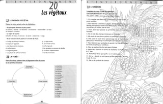 L E N v R o N
LO
M E
Les végétaux
.!J LE MONDE VÉGÉTAL
Classez les mots suivants selon les indications.
- Du plus petit élément au plus grand:
un buisson - la forêt - un domaine - une branche - une brindille - un bois -
un bosquet - un arbre.
- Le trajet de la sève :
la feuille - le tronc - la nervure - la racine - la branche - la tige.
- De la naissance de la plante à la récolte du fruit :
a. La tige se divise en rameaux. g. La tige monte.
b. La pousse apparaît. h. On récolte le fruit.
c. Les fleurs sont en boutons. i. Le fruit grossit.
d. Le fruit mûrit. j. Les rameaux se couvrent de feuilles.
e. La graine germe.
f. Les pétales de la fleur tombent.
~ LA FORÊT
k. Les fleurs s'épanouissent.
1. Les fleurs éclosent.
Placez les arbres suivants dans le diagramme selon les zones
où on peut les rencontrer
Climat sec
Montagne
Climat froid
Bord de mer
Climat chaud
Climat humide
46
un bambou
un bananier
un baobab
une bruyère
un cactus
un cocotier
un châtaignier
un chêne
un cyprès
une fougère
un hêtre
un mélèze
un palmier
un pin
un platane
un peuplier
un sapin
un saule
N T L E N v R o N N E M E N T
.!J LES flEURS
ntre célèbre
1. Ce n'est pas une fleur
porte bonheur.
2. Fleur blanche à nombreux P~~~~~~~
dernier pour savoir si l'autre vous air.ïl.ë::illr:Rw,.,b,éàiir{)DJI'i
sionnément, à la folie, pas du tout. :~i~~~~~~~~~~~i~i~~~lli~~i~~~~i3. Fleur jaune qui pousse au printe
humides.
4. On en voit des champs immenses en ~
5. Elle porte le nom de sa couleur et
6. Elle porte le nom d'un personn e de
grecque qui aimait trop se contempler rl";,~~rr;,;~I',:~
__.,. 'll
7. Fleur blanche qui symbolise la pureté. Les rms-cle.ltJ,lJ
l'avaient adoptée pour emblème.
8. Fleur au parfum très fort qui vient d'Orient.
9. Petite fleur blanche en forme de clochette. On
le 1" Mai.
1O. Petite fleur bleue qui signfie «ne m'OUUII'eL.."'<I""
11 . On lui a donné ce nom parce qu'elle relteJ;ti~dê~à:L~crêtL.A "',,..r.., I.:~~,
rouge du coq.
12. Elle est le symbole de l'amour.
 