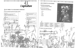 •
"
.,
L E T R A
43
A L
L'agriculture
.!J LES TERRES ET LES RESSOURCES AGRICOLES
Trouvez les productions agricoles des régions suivantes:
Les Causses
Plateau calcaire au sud du Massif central.
Végétation très dépouillée et rase.
Climat rude : hivers froids, étés chauds et secs.
~t~~a~m~a~~récageuSe correspondant au delta du
méditerranéen: hivers
Les Hautes Pyrénées
Hauts plateaux herbJ:'!J<' Larges
Étt6'ites vallées. forêts. Cli de montagne
fr~et i pluvieux le reste de l'an-
née.
Élevage de vaches laitières et de
moutons (pour la laine).
a Culture du blé dans les vallées.
b
c
Scieries.
Légumes (tomates, haricots, etc)
Arbresfruitiers (cerises, pêches, abri-
m" lorlS. etc)
Elel,aQiE."de moutons et de brebis.
Fromàd""s (Roquefort).
pour la fabrication
L E T R A
il LES FRUITS ET LES LÉGUMES
a) Quels fruits et quels légumes
reconnaissez-vous dans ce tableau?
b) Parmi les fruits ci-dessous,
lesquels pouvez-vous qualifier de :
- juteux
- secs
- sucrés
- acides
- aqueux
J
un abricot
une amande
un ananas
une banane
une châtaigne
un citron
une datte
une fraise
un kiwi
un melon
une figue une myrtille
une cerise une framboise une noix
une noix de coco
une olive
une orange
un pamplemousse
une pastèque
.r
v
une pêche
une poire
une pomme
une prune
du raisin
..
iJ LES A M UX ET LES EES ~
1)Composez votre salade de fruits idéale.
i'....
'1: rouvez quelles sont les idées que les Françai~~sso~ient IIa chacun de
,
irffaUX suivants. ( ll'"
~-:: J. "~;."",';O.;
•
- l'âne - le chien
- le coq - la poule
- l'oie - le poisson
- le pigeon - le porc
A L
.--
'JI •
.,
1 ,
,
 