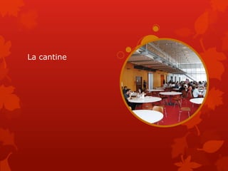La cantine
 