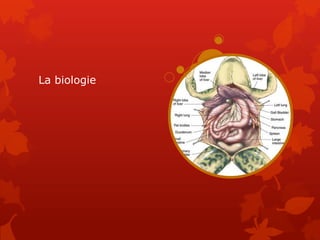La biologie
 