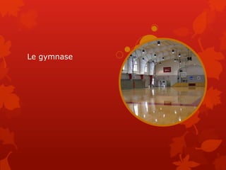 Le gymnase
 