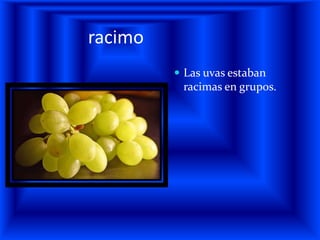 racimoLas uvas estaban racimas en grupos.