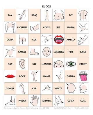 EL COS
MÀ BRAÇ DIT
ESQUENA COLZE PIT UNGLA
CAMA CUL AIXELLA
CANELL ESPATLLA PEU CARA
NAS ULL LLENGUA FRONT
BOCA LLAVIS ORELLA
GENOLL CAP GALTA
PANXA TURMELL CUIXA COLL
Autor dels pictogrames: Sergio Palao - Procedència: ARASAAC (http://arasaac.org) - Llicència: CC (BY-NC-SA) - Adaptable LECTRON CATALUNYA (Diset) - Mides d’impressió: 32 cm x 26 cm
 