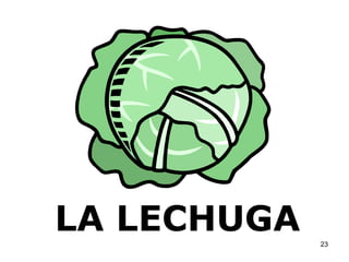 LA LECHUGA 